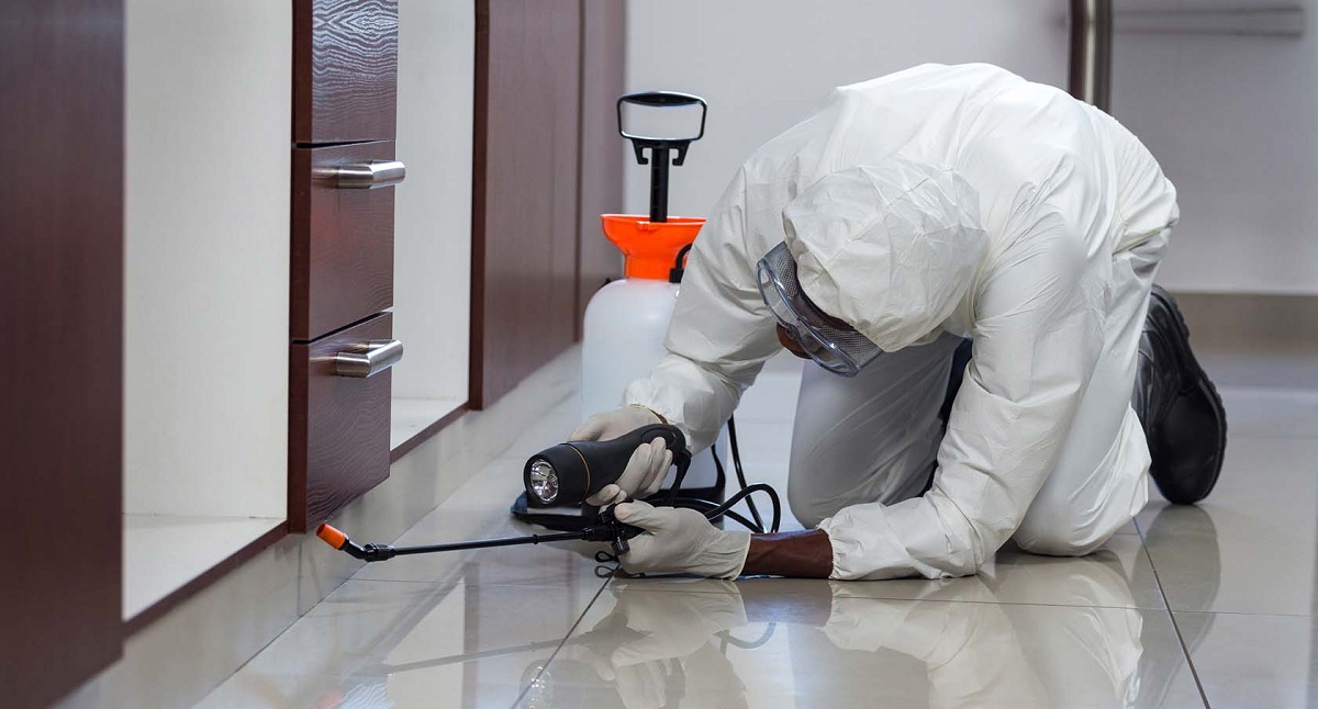 Residential Pest Control
